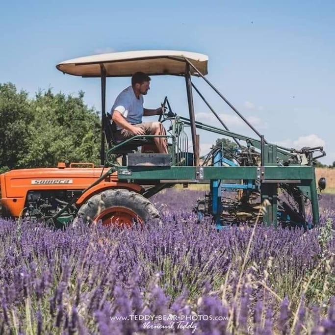 A La Campagne * Valensole